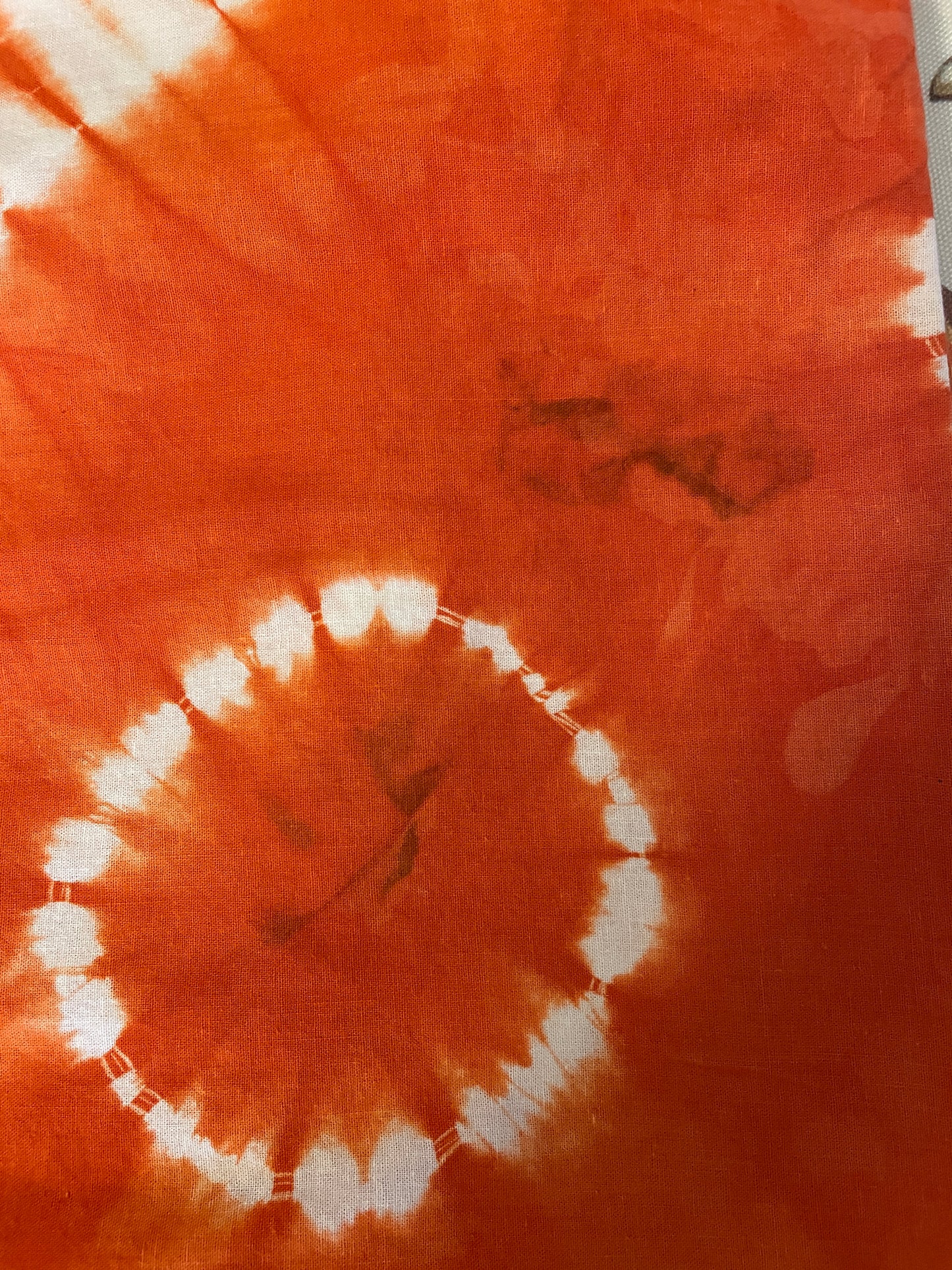 VOLTA PANTS| TANGERINE